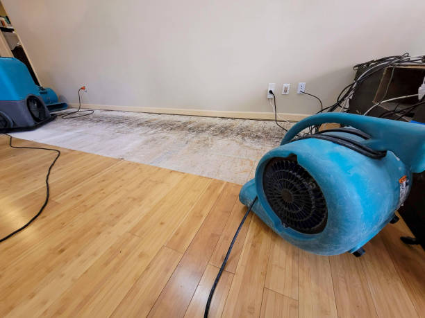 Professional Sewage Cleanup technician working in Nesconset, NY